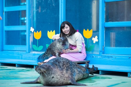 伊勢シーパラダイス ゴマちゃんをひざ枕体験 が期間限定で復活 8月31日まで 動物のリアルを伝えるwebメディア Reanimal