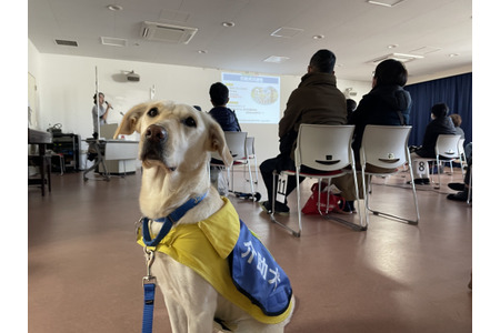日本介助犬協会 介助犬総合訓練施設の来場型見学会を1年ぶりに開催 動物のリアルを伝えるwebメディア Reanimal