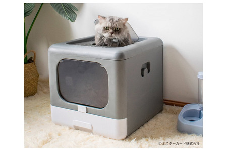 Pety 猫用トイレ ドーム型 グレー Pety 猫用トイレ ドーム型 グレー ドーム型猫用トイレ｜グレー Amazon |