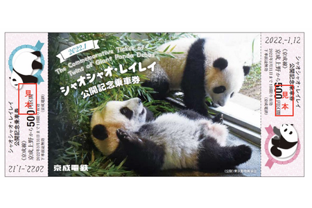 上野動物園の双子パンダ「シャオシャオ・レイレイ公開記念企画」実施