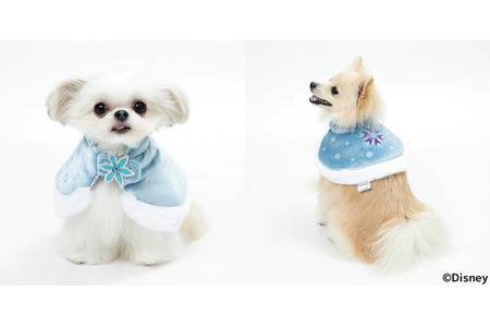 Moff Disney Fanとのコラボ企画で生まれたペットウェアを発売 アナ雪 スティッチ ベイマックス 動物 のリアルを伝えるwebメディア Reanimal