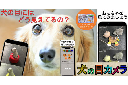 犬の視覚を疑似体験できるスマホアプリ 犬の目カメラ Android版リリース 動物のリアルを伝えるwebメディア Reanimal