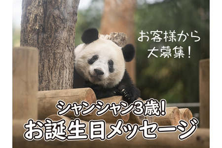 松坂屋 シャンシャン3歳 お誕生日メッセージ を募集 6月23日まで 動物のリアルを伝えるwebメディア Reanimal