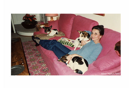 動物に会える映画 Vol 16 彼女たちが愛する動物たち ドキュメンタリー3選 動物のリアルを伝えるwebメディア Reanimal