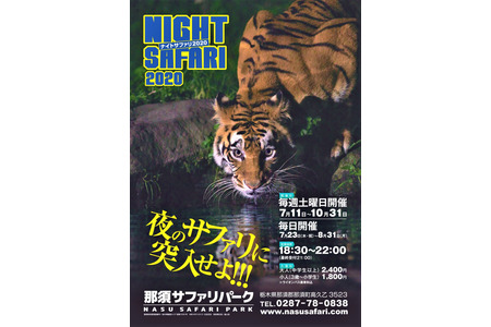 那須サファリパーク ナイトサファリ を開催 7月11日から 動物のリアルを伝えるwebメディア Reanimal