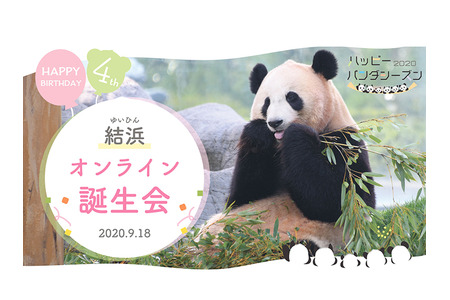 アドベンチャーワールド ジャイアントパンダ 結浜 4歳の誕生日を記念して2つのイベントを開催 9月18日 動物のリアルを伝えるwebメディア Reanimal
