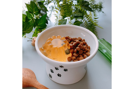 Wisham 猫の水分補給用 食べる水 ジュレッタ を発売 動物のリアルを伝えるwebメディア Reanimal Wisham 猫の水分補給用 食べる水 ジュレッタ を発売 動物のリアルを伝えるwebメディア Reanimal