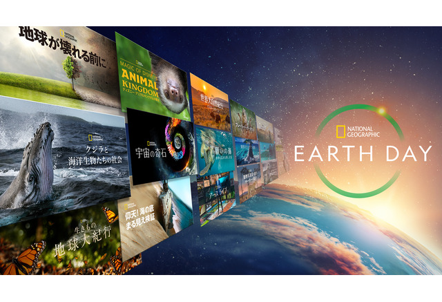 ジェームズ キャメロン製作総指揮のドキュメンタリー クジラと海洋生物たちの社会 Disney にて配信 4月22日から 5枚目の写真 画像 動物のリアルを伝えるwebメディア Reanimal