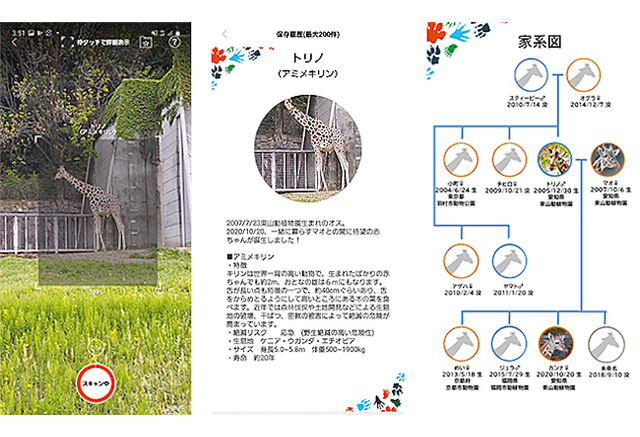 動物園の動物ごとの性格や家系図がわかる One Zooスコープ 提供開始 Kddi 動物のリアルを伝えるwebメディア Reanimal