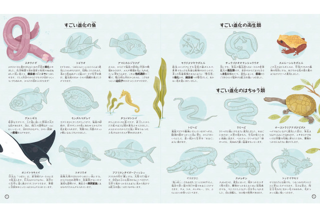 Nhk出版 進化の謎や秘密がわかる科学絵本 すごいぞ 進化 はじめて学ぶ生命の旅 を刊行 4枚目の写真 画像 動物 のリアルを伝えるwebメディア Reanimal