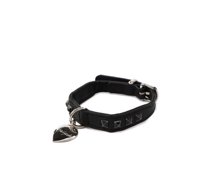 discord Yohji YamamotoとHUNTERがコラボ、小型犬用のドッグカラーと