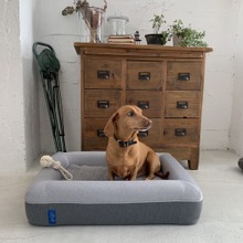 睡眠の質や環境にフォーカスしたペットベッド「NOMIN PET BED」発売