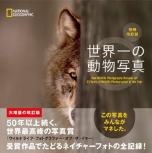 ビジュアル書籍 『ダーウィンが来た！ 生命大進化 第1集 生き物