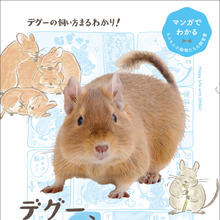 スティックタイプのサステナブルなペット用おやつ 小動物のやみつきコオロギ 発売 2月21日 動物のリアルを伝えるwebメディア Reanimal