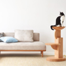 猫との暮らしをより楽しめるリビング＆ダイニング用家具が充実…ナガノ