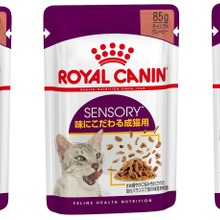 【ロイヤルカナン】未開封・尿中ヘモグロビンチェッカー 7箱 尿中ヘモグロビンチェッカー | Royal Canin JP