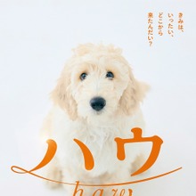 映画 ハウ 田中圭と 無邪気な 犬のベックが主人公演じる 8月19日公開 動物のリアルを伝えるwebメディア Reanimal