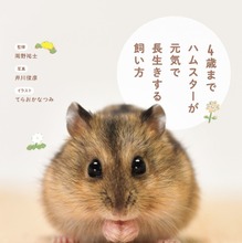 スティックタイプのサステナブルなペット用おやつ 小動物のやみつきコオロギ 発売 2月21日 動物のリアルを伝えるwebメディア Reanimal