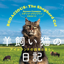 ナショナル ジオグラフィック プロの撮り方 完全マスター ベーシック を刊行 6月29日 動物のリアルを伝えるwebメディア Reanimal
