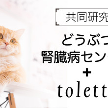 猫がなりやすい病気】膵炎編u2026症状は非特異的、慢性化や糖尿病の併発に 