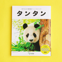 アドベンチャーワールドでジャイアントパンダの赤ちゃんが誕生