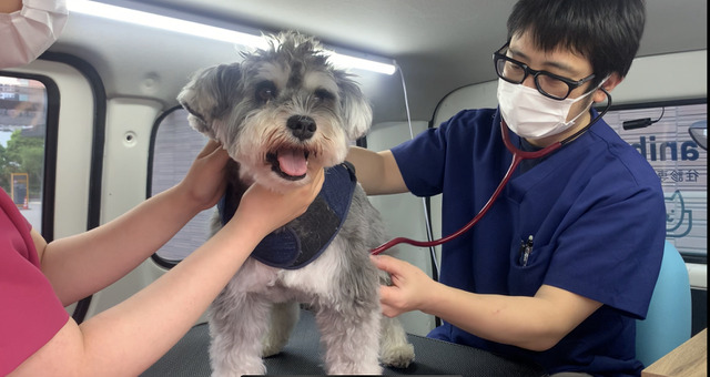 犬記事一覧 15ページ中3ページ目 動物のリアルを伝えるwebメディア Reanimal