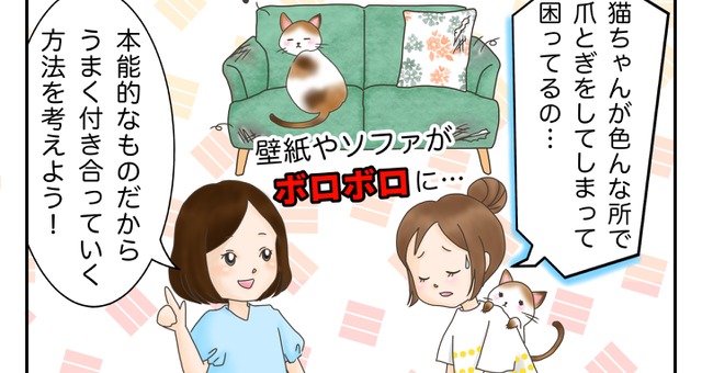 4コマまんが 動物のリアルを伝えるwebメディア Reanimal