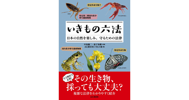 エンタメ カルチャー記事一覧 動物のリアルを伝えるwebメディア Reanimal