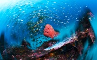 富士フイルム、企画写真展「海から見たニッポン」を開催…21年3月12日～4月1日 画像
