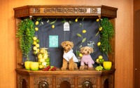湘南クリスタルホテルに“愛犬と泊まれる部屋”がオープン 画像