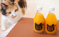和歌山みかん100％の「ニャンジュース」、こたつなしタイプも登場…売上の2％を保護猫活動の支援金へ 画像