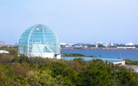 東京都、上野動物園や葛西臨海水族園など都立施設の休園・休館の継続を発表…2月7日まで 画像