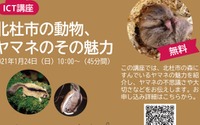 無料オンライン講座「北杜市の動物、ヤマネのその魅力」開催…1月24日10時から 画像