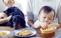 人と犬がシェアしながら食べられる無添加おやつとごはんを製造販売する「ワンズデイリー」設立 画像