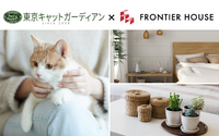 保護猫とのマッチングを図るコンパクト賃貸併⽤住宅「ねこネクト」誕生…フロンティアハウス 画像