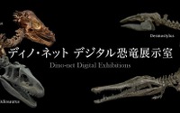 恐竜の骨格をVRで360度閲覧、「ディノ・ネット デジタル恐竜展示室」公開…国立科学博物館 画像