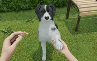 ワンちゃんを子犬から育てるゲーム『Dog Trainer』発表！ 犬を飼うことの喜びと責任を体験 画像
