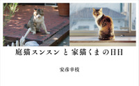 猫をめぐる命の物語・写真集『庭猫スンスンと家猫くまの日日』、小学館より刊行 画像