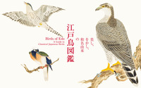 鳥たちを和の視点で紹介、「美し、をかし、和名由来の江戸鳥図鑑」刊行…パイ インターナショナル 画像