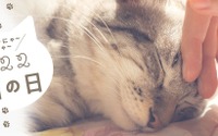 三越伊勢丹オンラインサイトにて「222猫の日～猫がかわいすぎて～」開催…2月23日まで 画像