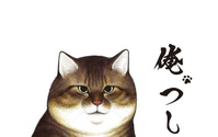 リアル猫漫画「俺、つしま」、今夏アニメ化決定 画像
