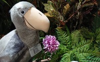 URAWA ZOO ～「連れて帰れる」300匹のぬいぐるみ動物園～、浦和パルコに期間限定で開園…3月31日まで 画像