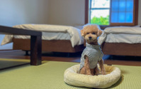 芦ノ湖一の湯、愛犬と泊まれる宿泊プランの販売を開始 画像