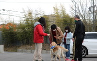 日本介助犬協会、オンラインでの入所式を初開催…9頭が訓練センターに 画像