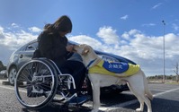 JAF×日本介助犬協会、思いやりある交通社会を目指しクラウドファンディング開始…5月31日まで 画像