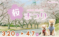 つま恋リゾート彩の郷、「ドッグコミュニティ 桜まつり」を開催…4月7日まで 画像