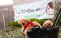 「ワンOneday DX」、柏の葉T-SITEにて開催…犬に優しい街を盛り上げるイベント 画像
