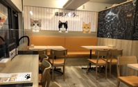 「OSAKA na kitchen×猫部パーラー」、阪急大阪梅田駅にオープン 画像