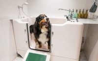 ナチュラルクリエイト、犬用温浴施設の事業者募集を開始 画像