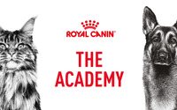 ロイヤルカナン ジャポン、獣医療関係者向けEラーニングサイト「ROYAL CANIN ACADEMY」を開講 画像